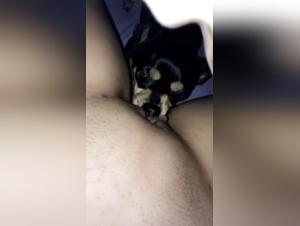 Bestiality Sex with Dogs