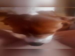 Après-midi coquine : une femme et son chien