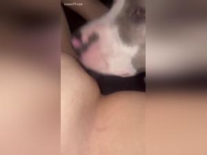 Unveiling the Dark Side: Bestiality Exposed