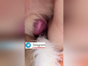 Asiatische Schlampe Dog Sex Teil 2