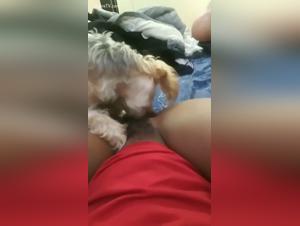 Obsession Hairy Dog Fuck