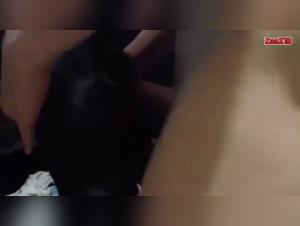 Bestiality sex video: transexual and female dog