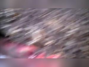 Shelly and her canine friend: an exciting zoophilia video