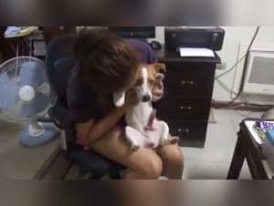 Hot Dog 20: An intense canine encounter on video