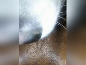 Bestial encounter: woman and dog