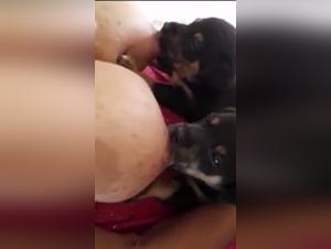 Woman and dog: a bestial and intense relationship