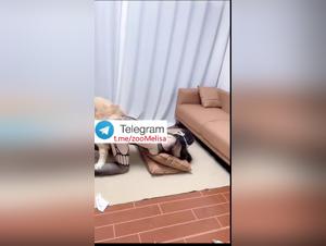 Chinese Teen Dog Sex Part 2