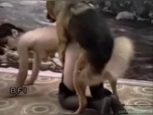 The relationship between a woman and her dog is passionate