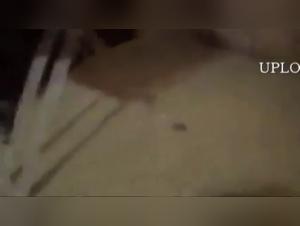 China Slut con Perro - Sexo Extremo
