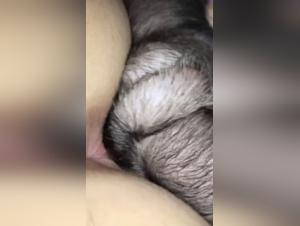 Amateur Wife and her Big Dog - Bestiality Sex