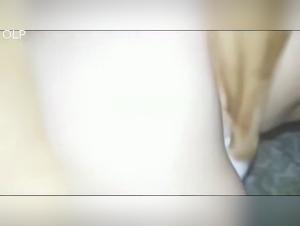 latina fucks dog hardcore amateur sex