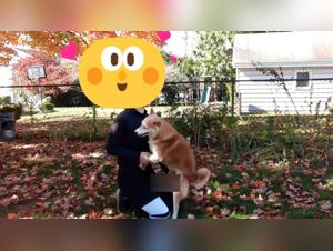 Women Succulent Sluts Having Sex with Dogs and Cats