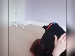 exploring the taboo: tiersex & legality