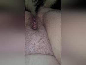 Sex with a dog: a boy and his canine companion