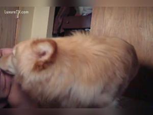 Bestiality: An Extreme Experience