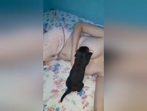 Doggy Fornication with Mother and Dog