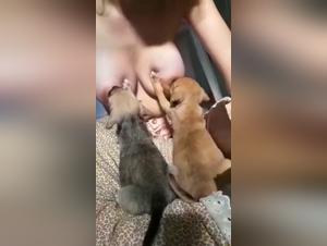 The Best Porn Videos Featuring Two Baby Dogs