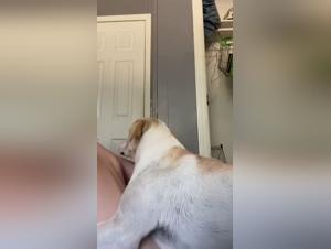 animal seks beaute zootubex