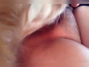 Forbidden Meeting - Woman and Dog