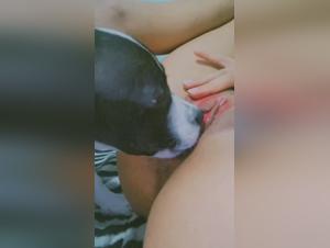 Women and dogs: hard and extreme bestiality videos