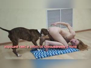 Nadya Teaser Dog Zoophilia