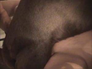 son chien, sa fureur sauvage