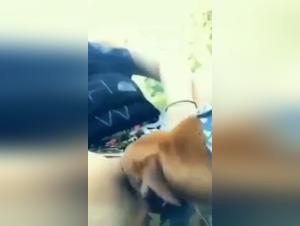 Intense bestiality: a woman and her dog