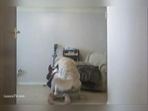 Intimate Encounter: Young Girl and Her Labrador