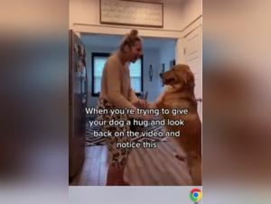 Red Rocket: A Woman and Her Four-Legged Best Friend - Bestiality Video