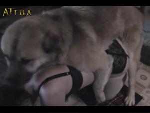 Insatiable Woman and her Two Four-Legged Companions