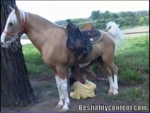 Zoophilia Video - Horse Gisele 2