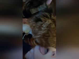 Dog Fucking Passion Experience