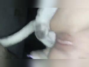 A Forbidden Meeting: Woman and Dog