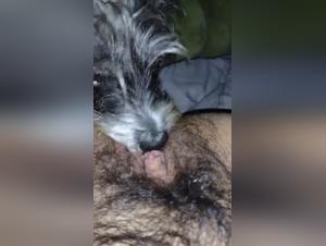 An Intimate Moment: Dog and Woman