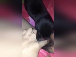 Asian Girl and Dog: A Shocking Zoophilia Encounter