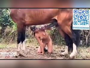 Marpessa & Blanca: Gestaltungen von einem Riesenpferd