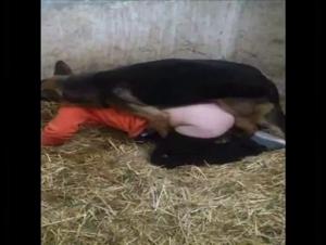 An Exciting Bestial Experience: Fuck the Doggy