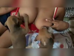 Canine breastfeeding in an extreme bestiality video