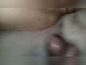 Hotline Zeta: A Sex Experience with a Dog in HD