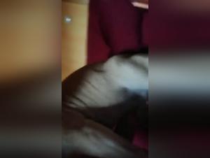 joven mujer sexo con su bulldog francés