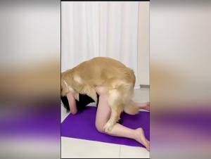 Perra salvaje, pasión canina