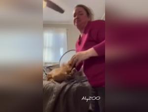 The Most Seductive Women and Their Thick-Coated Dogs