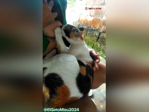 Scoprendo desideri nascosti