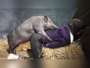 unleashing primal desires