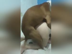 intimate moment with dog