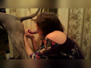 Bestiality with a Latin woman and three dogs