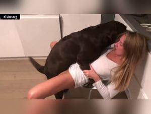 First experience of bestiality: a sex video with a dog