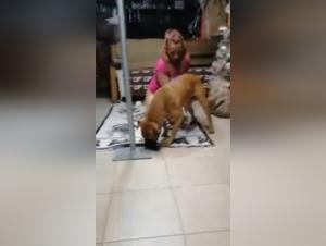 Amateur zoophilia video: a woman and her dog