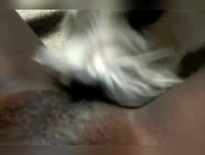 Video of Sex with a Dog
