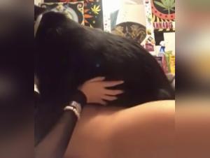 amateur dog sex, missionary upscaled footage